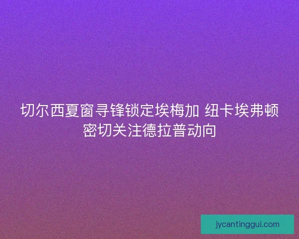 切尔西夏窗寻锋锁定埃梅加 纽卡埃弗顿密切关注德拉普动向